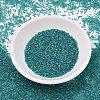 MIYUKI Delica Beads SEED-J020-DB2380-2
