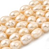 Natural Cultured Freshwater Pearl Beads Strands PEAR-I007-01H-02B-2