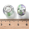 Transparent Two-Color Brass Cores Acrylic European Beads OACR-M024-05S-03-3