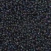 MIYUKI Round Rocailles Beads X-SEED-G007-RR2446-3