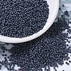 MIYUKI Round Rocailles Beads X-SEED-G007-RR2001-1