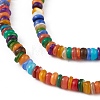 Rainbow Color Natural Freshwater Shell Beads Strands SHEL-M018-08A-3
