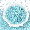 6/0 Transparent Inside Colours Glass Seed Round Beads X1-SEED-N006-004B-2