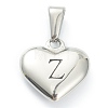 304 Stainless Steel Pendants STAS-P278-01Z-P-1