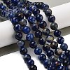 Natural South Africa Sodalite Beads Strands G-S259-35-8mm-5