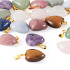 Fashewelry 20Pcs 10 Styles Natural Mixed Gemstone Pendants G-FW0001-39-24