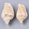 Natural Spiral Shell Pendants SSHEL-N035-02-3