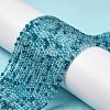 Transparent Glass Beads Strands X-GLAA-H027-01E-2