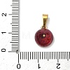 304 Stainless Steel Enamel Fruit Vegetable Charms STAS-F336-02K-G-3