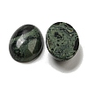 Natural Kambaba Jasper Cabochons G-C115-01A-22-2