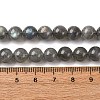 Natural Labradorite Beads Strands G-H326-01-8mm-5