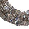 Natural Labradorite Beads Strands G-Z152-F04-02-4