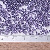 MIYUKI Delica Beads SEED-JP0008-DB0250-5