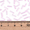 Glass Bugle Beads SEED-N007-28I-4