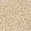 MIYUKI Delica Beads SEED-X0054-DB0204-3