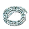 Natural Larimar Beads Strands G-F803-C01-02-3