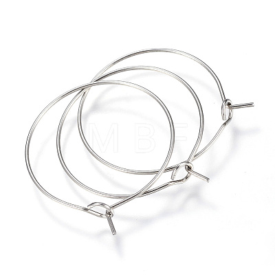 316L Surgical Stainless Steel Hoop Earring Findings LS-STAS-G130-03P-1