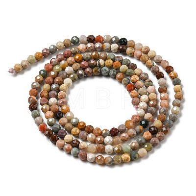 Natural Agate Beads Strands G-G991-A03-B-1