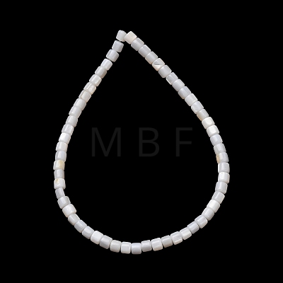 Natural Freshwater Shell Beads Strands SH-CBA2978-21C-1
