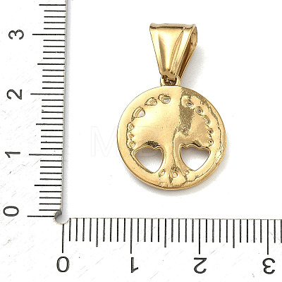 304 Stainless Steel Pendants STAS-D225-11G-1