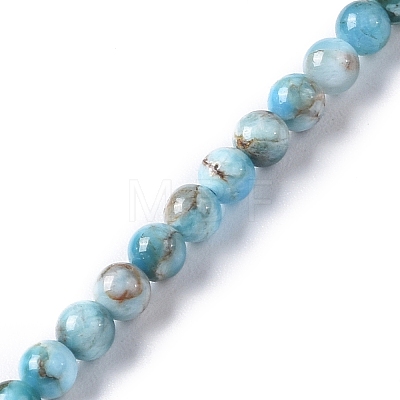 Natural Apatite Beads Strands G-I254-08E-1