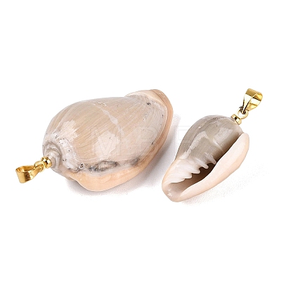 Brass & Natural Oliva Shell Pendants SHEL-Q029-22KCG-1