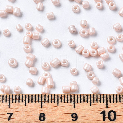 Glass Seed Beads SEED-S060-A-F407-1