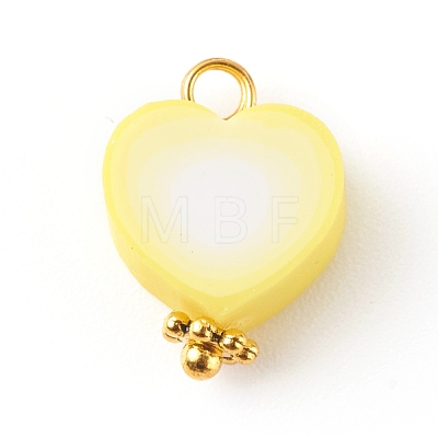 Polymer Clay Charms PALLOY-JF00678-1