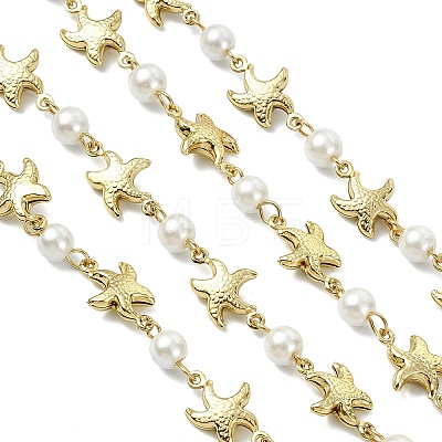 1M Handmade 304 Stainless Steel Starfish Link Chains AJEW-JB01615-03-1