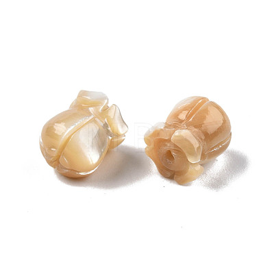 Natural Trochid Shell/Trochus Shell Beads SSHEL-N003-145B-A02-1