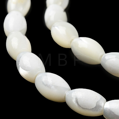 Natural Trochus Shell Beads Strands BSHE-E030-02B-1