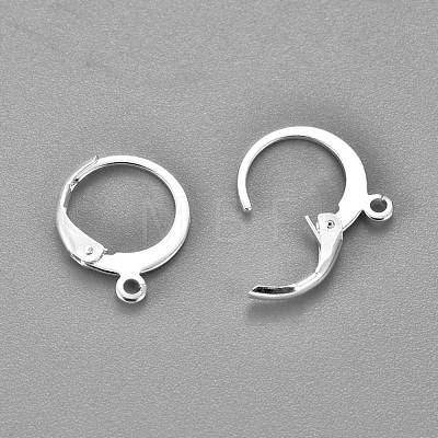 304 Stainless Steel Leverback Earring Findings X-STAS-F155-13S-1