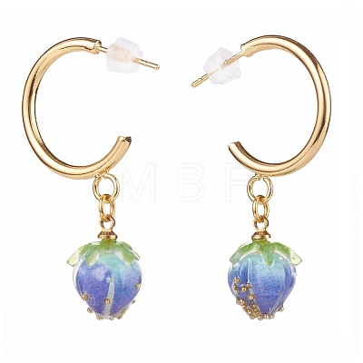 Brass Dangle Earrings EJEW-JE04572-1