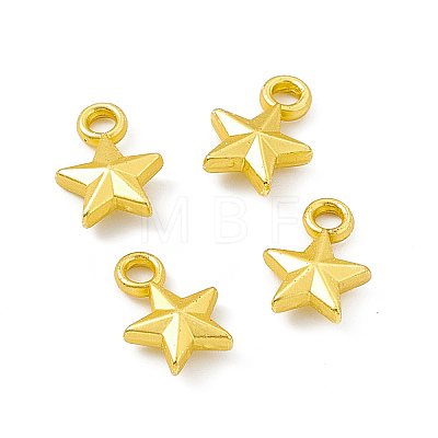Rack Plating Alloy Charms FIND-G045-21MG-1