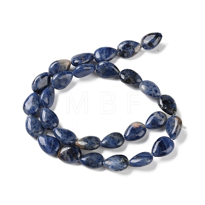 Natural Sodalite Beads Strands G-K357-A01-01-1