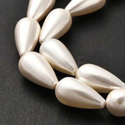 Electroplate Shell Pearl Beads Strands BSHE-G010-10x20mm-01-1