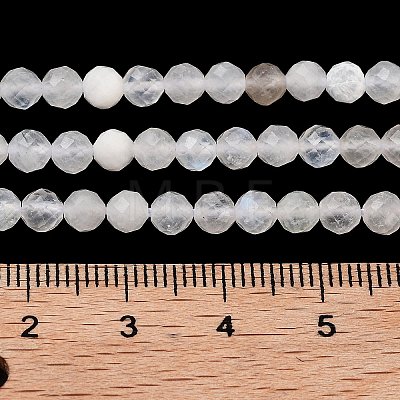 Natural Rainbow Moonstone Beads Strands G-P500-01C-01A-1