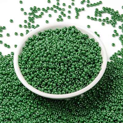 MIYUKI Round Rocailles Beads SEED-G008-RR0431-1