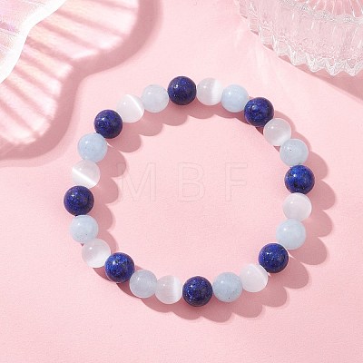 Dyed Natural Quartz & Sesame Jasper Beaded Stretch Bracelets for Women Men BJEW-JB13403-1