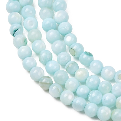 Dyed Natural Freshwater Shell Beads Strands SH-CBA2978-07A-01-1