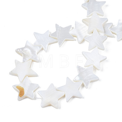 Natural Freshwater Shell Beads Strands X-SHEL-S278-01D-01-1