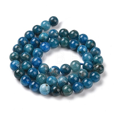 Natural Apatite Beads Strands G-R446-8mm-11-1