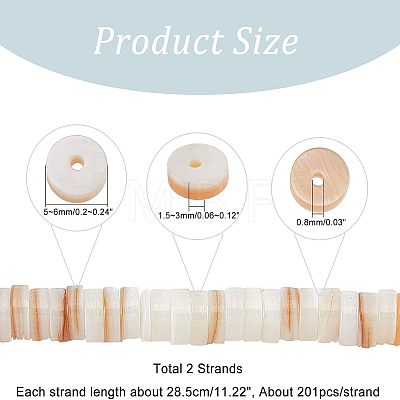  2 Strands Natural Freshwater Shell Beads Strands BSHE-NB0001-17-1