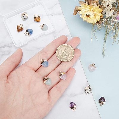  12Pcs 6 Styles Natural Gemstone Charms G-NB0003-74-1