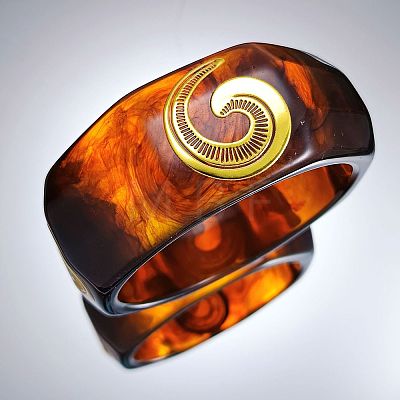 Ocean 304 Stainless Steel Resin Bangles WGF2787-03-1