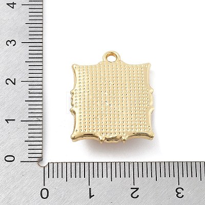 Alloy Enamel Pendants FIND-G089-03G-01-1