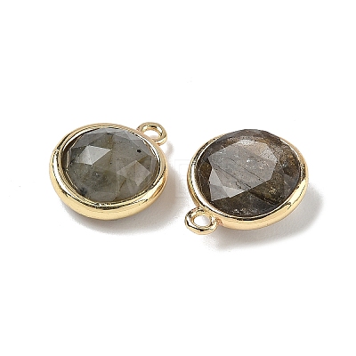 Natural Labradorite Faceted Flat Round Charms G-U028-03G-06-1