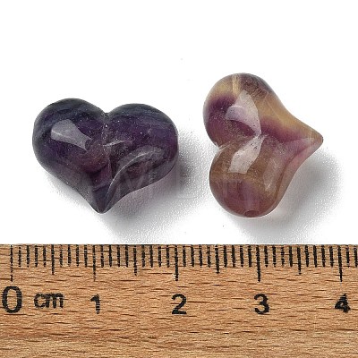 Natural Fluorite Beads G-M423-01A-1