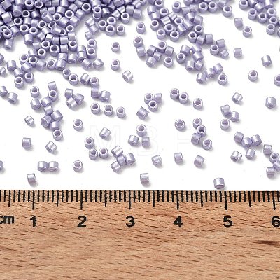 Baking Paint Glass Seed Beads SEED-S042-15B-30-1