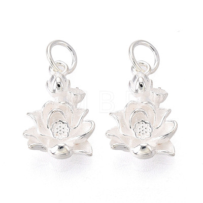 925 Sterling Silver Pendants STER-T009-14S-1